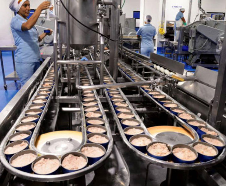Planta productos procesados