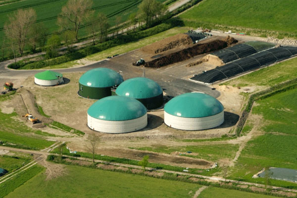 proyectos de biomasa y biogás